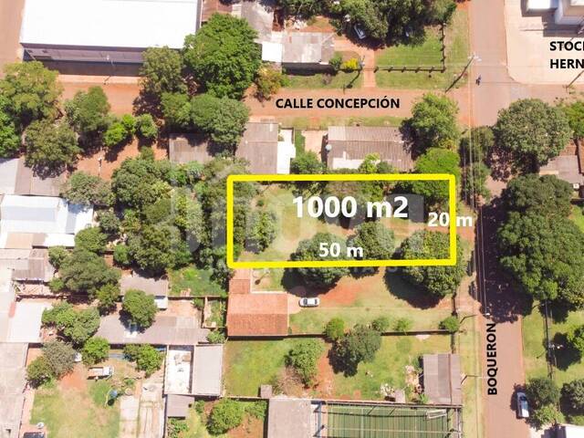 #216 - Área para Venta en Hernandarias - PY-10