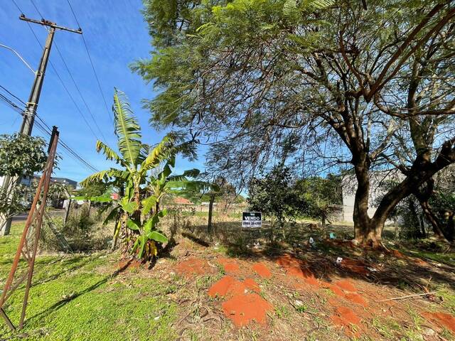#417 - Área para Venta en Hernandarias - PY-10 - 3