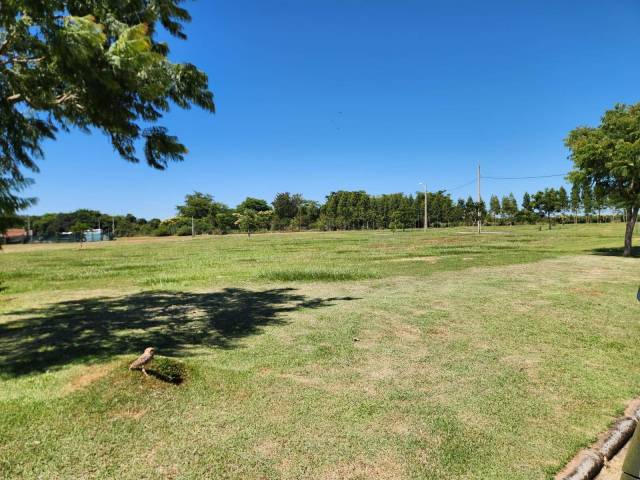 #481 - Área para Venta en Ciudad del Este - PY-10 - 3